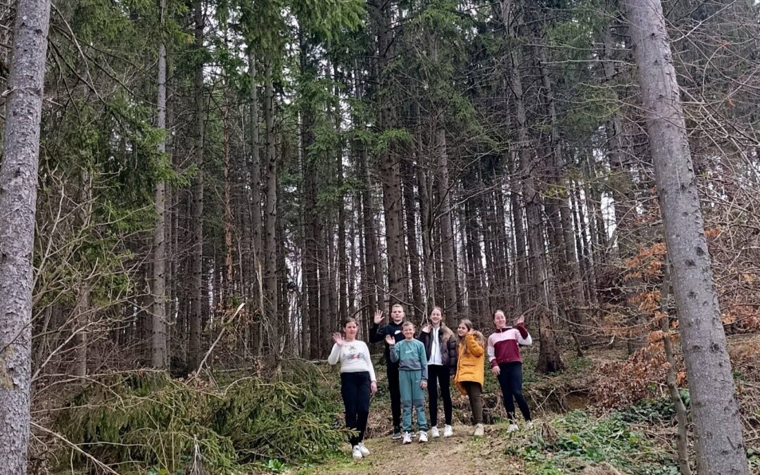 СВЕТСКИ ДАН ШУМА